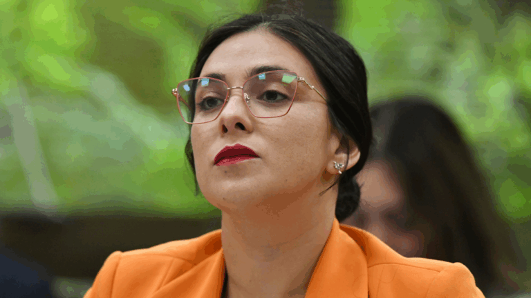 Caso Chinamart: Karol Cariola niega acusaciones y descarta tráfico de influencias