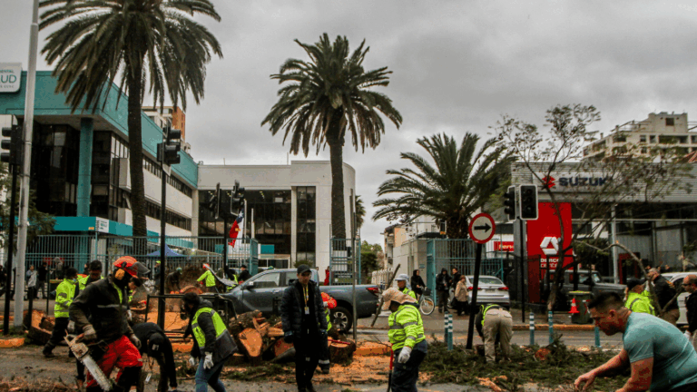 Aviso por vientos en Chile: Estas son las seis regiones alertadas por la DMC