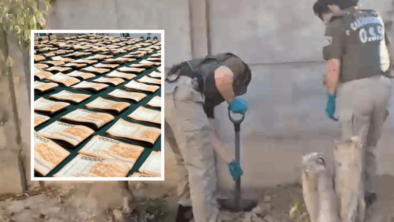 Robó $30 millones y los enterró: Detienen a cuidadora en Coquimbo