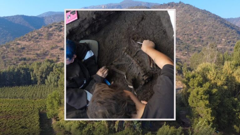 Tendrían hasta 5 mil años de antigüedad: Hallan restos humanos en San Vicente de Tagua Tagua