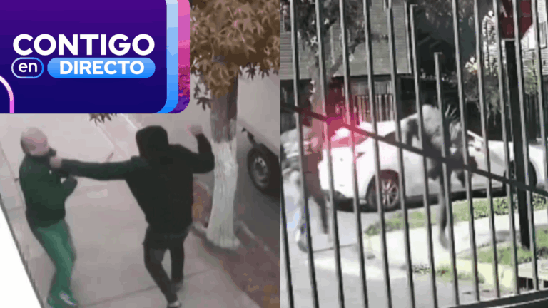 Vecinos de Puente Alto cansados por ola de asaltos en sus condominios: Bandas atacan los paraderos