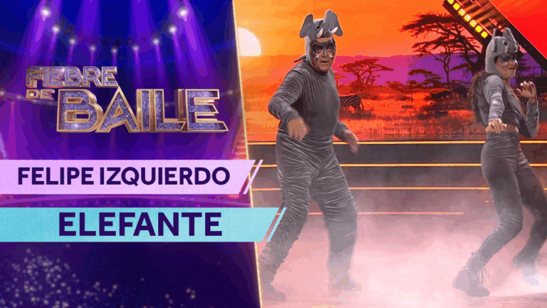 Hizo vibrar el piso con su flow: Felipe Izquierdo mostró la fuerza del elefante con éxito de Luis Fonsi