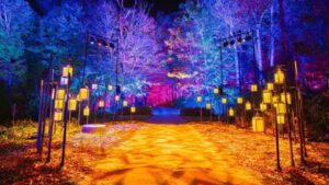 Harry Potter: La Experiencia del Bosque Prohibido debuta en Chile en el Parque Quinta Normal