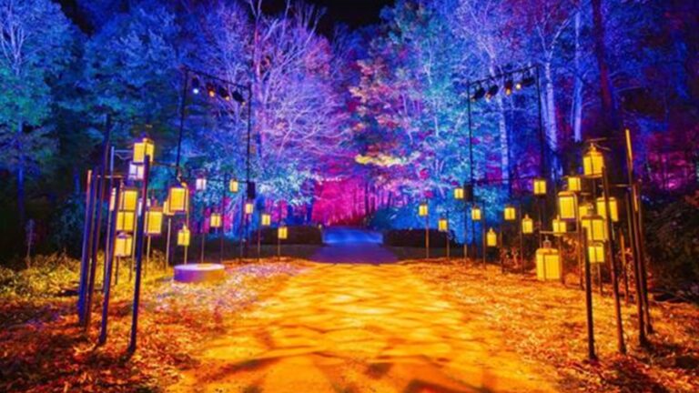 Harry Potter: La Experiencia del Bosque Prohibido debuta en Chile en el Parque Quinta Normal