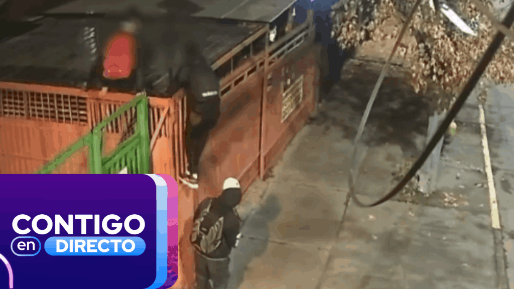 Vecinos de La Florida desesperados por la inseguridad: Cerraron su pasaje pero los robos continuaron