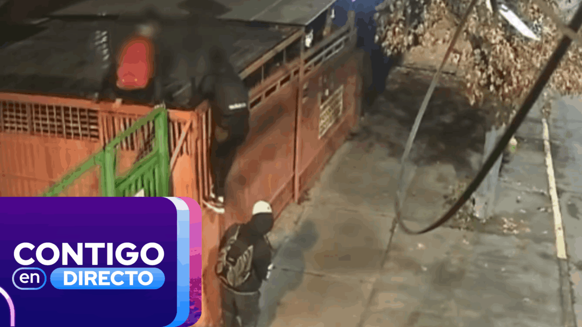 Vecinos de La Florida desesperados por la inseguridad: Cerraron su pasaje pero los robos continuaron