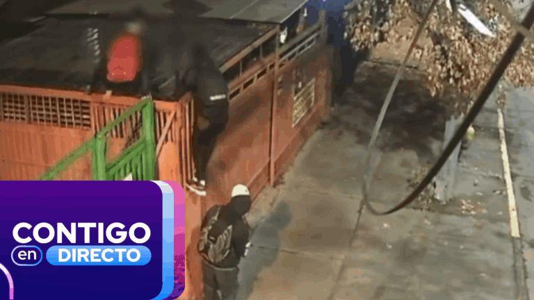 Vecinos de La Florida desesperados por la inseguridad: Cerraron su pasaje pero los robos continuaron