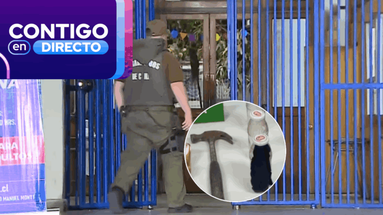 Formalizarán a “overoles blancos” que ingresaron al Liceo Lastarria con elementos incendiarios