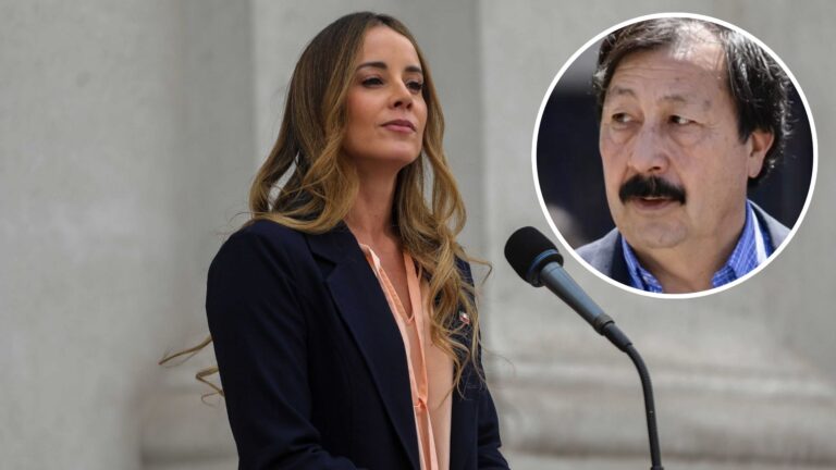 Nuevo traspié comunicacional de Sedini: Aseguró en dos oportunidades que Galvarino Apablaza está condenado