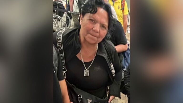Madre y comerciante de 65 años: Quién era María Valdebenito, la mujer asesinada en Quinta Normal