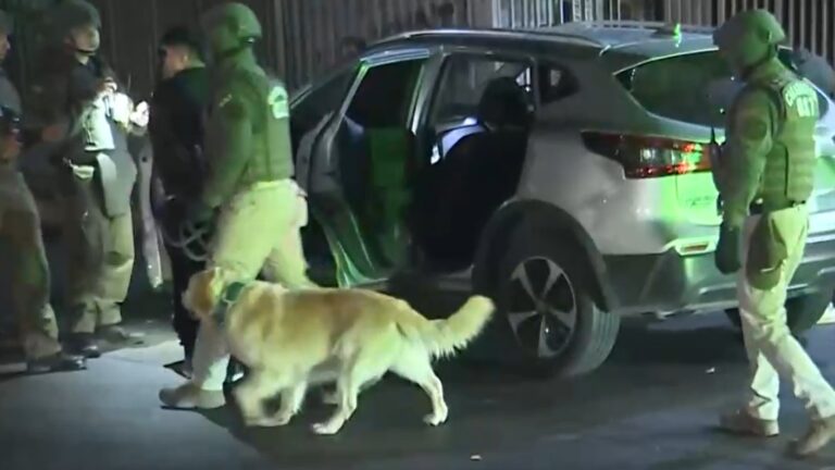 Carabineros y PDI realizan gran operativo de control migratorio en los alrededores de La Vega Central