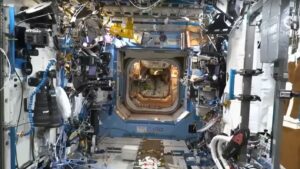 ¿Cómo es convivir, trabajar y hasta dormir 10 días en la cápsula Orión?