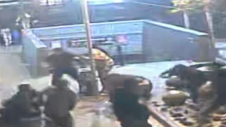 VIDEO | Delincuente murió: Funcionario PDI fue apuñalado tras frustrar robo en su contra en Estación Central