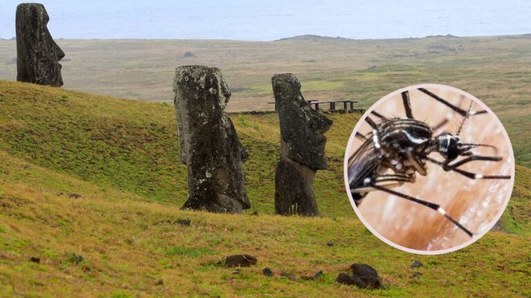 Alerta amarilla en Isla de Pascua: Advierten brote de dengue con 18 casos confirmados
