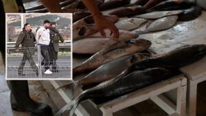 Video | Ad portas de Semana Santa: Interceptan camión en Ruta 5 y roban 23 toneladas de reineta