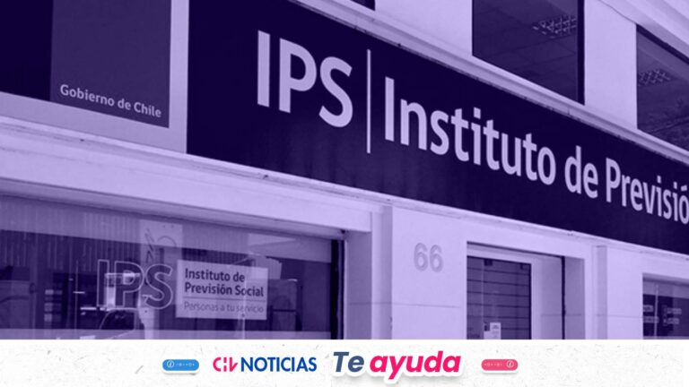 De la PGU al ex Bono Marzo: Revisa acá tus pagos por cobrar del IPS