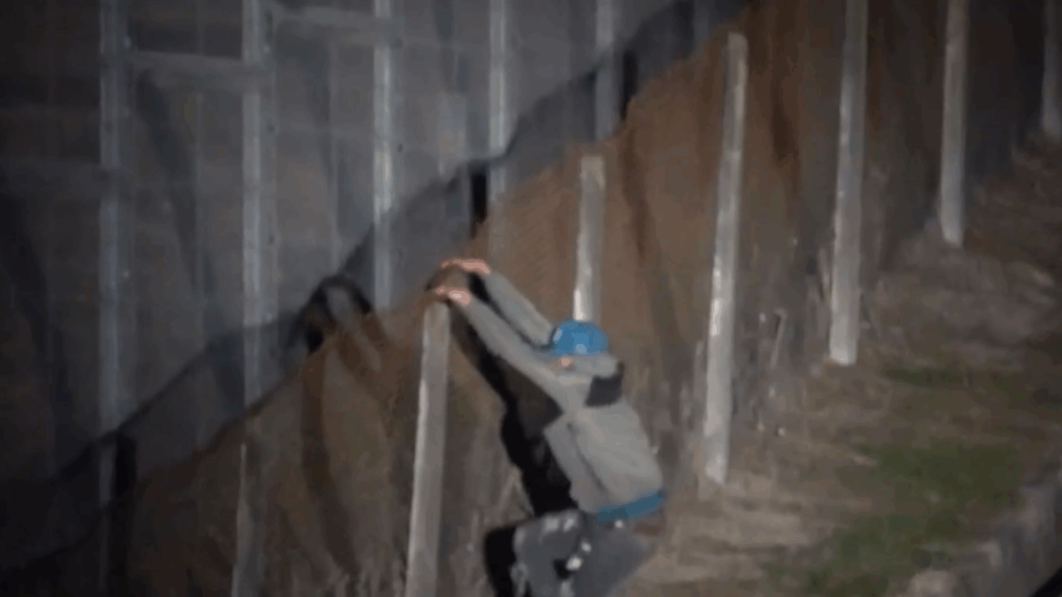 Atraparon a “peloteros extremos”: Atravesaban bosque para enviar comida y drogas a cárcel de Valdivia