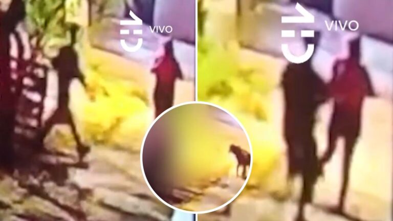 El atacante está identificado: Cámaras de seguridad captan momento en que mujer fue asesinada en Santiago Centro