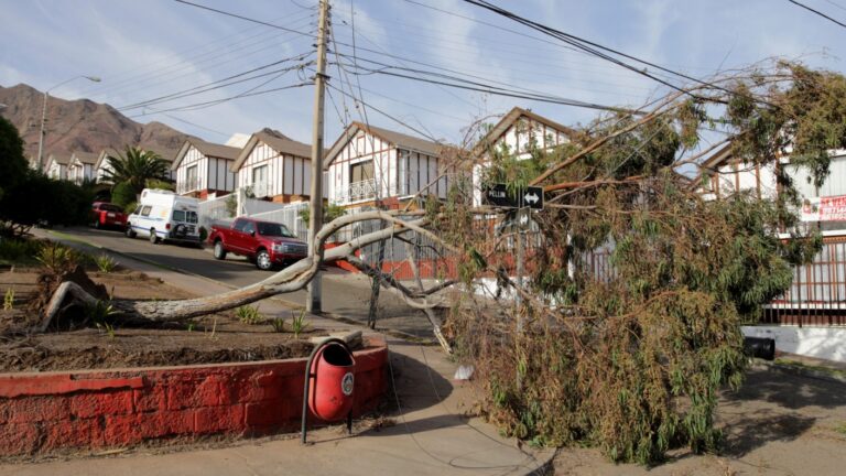 Con ráfagas de 80 a 100 km/h: DMC emite alerta por fuerte viento en región del país