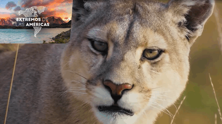 Los más buscados del mundo | Extremos de las Américas | Capítulo 1