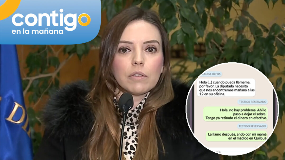 “¿Un millón 200 para usted?”: Los chats que complicarían a Camila Flores por acusaciones de fraude al fisco