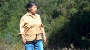 Fiscalía de Los Ríos revela hallazgo de osamenta humana en terreno donde vivía Julia Chuñil