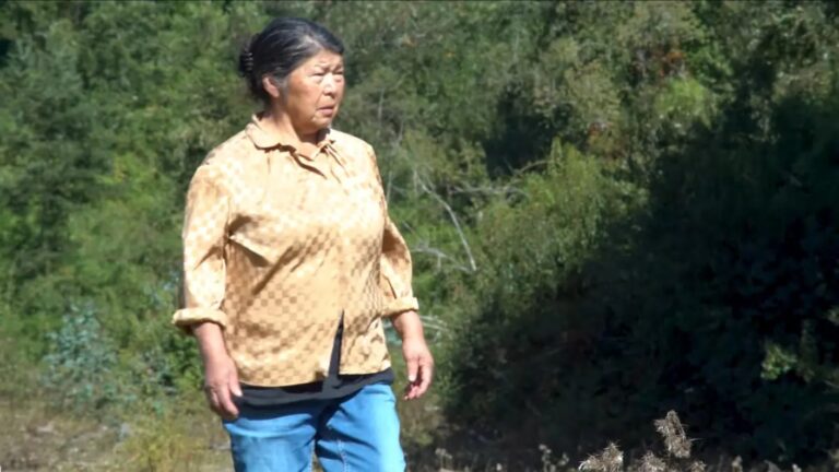 Fiscalía de Los Ríos revela hallazgo de osamenta humana en terreno donde vivía Julia Chuñil