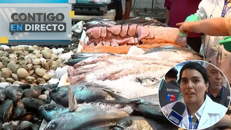 Fiscalizan terminal pesquero previo a Semana Santa: Estas son las claves para comprar seguro