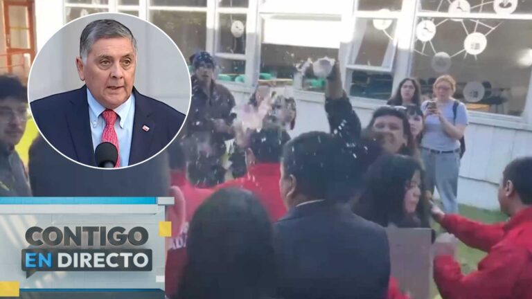 Ministro del Interior condenó ataque a Ximena Lincolao en Valdivia: “Fue amedrentada, retenida y agredida”