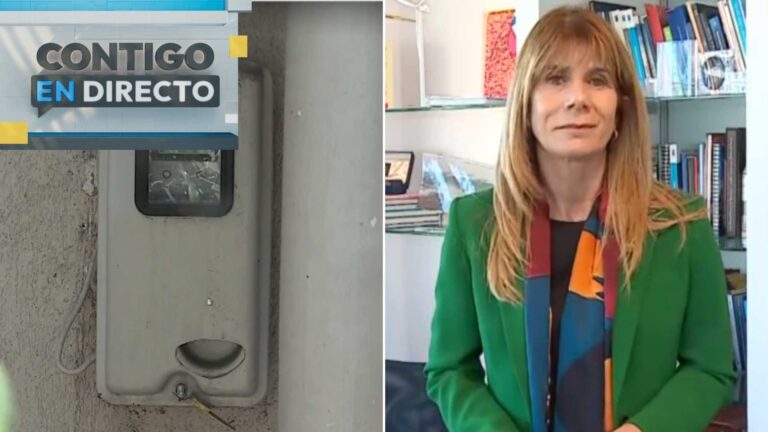 Ministra de Energía propone proyecto para frenar alza de la luz: “Estas situaciones presionan los bolsillos…”