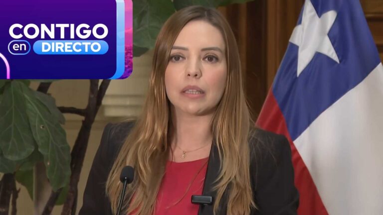 Senadora Flores responde acusación de fraude al fisco por $300 millones: “Niego total y absolutamente los hechos”