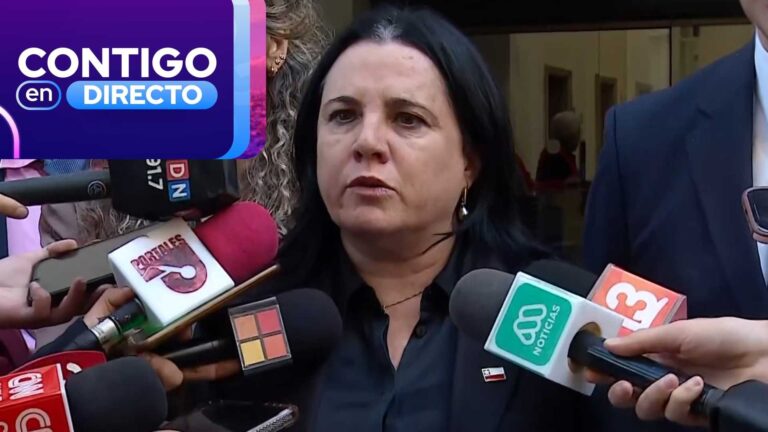 Ministra Steinert aclaró sociedad que mantiene con exdefensor de narcotraficante y criticó acusación: 