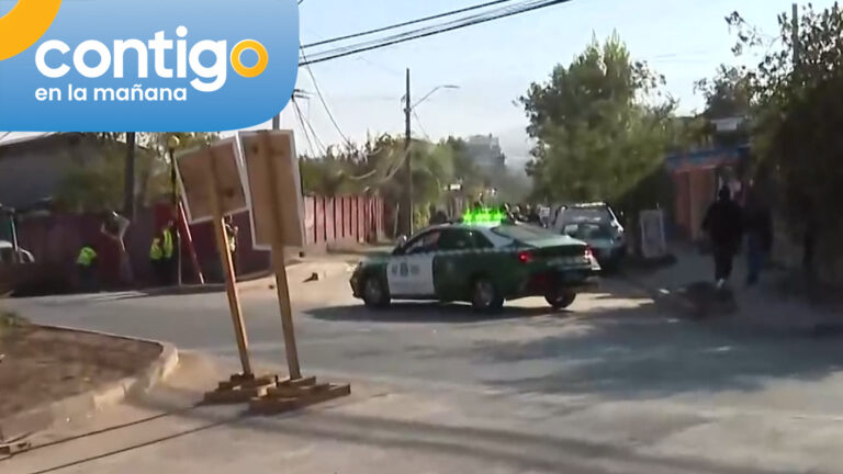 “Estamos rodeados de ratones”: Vecina de Peñalolén denunció problemas sanitarios en la comuna