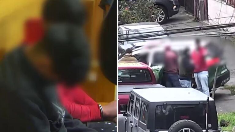 Machete, pistola y cortaplumas: Formalizan a escolares que intentaron entrar armados a liceo de Temuco