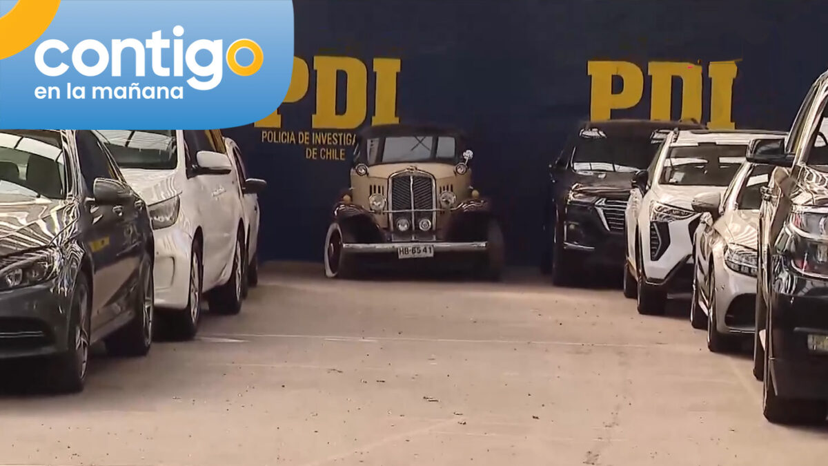 Algunos pertenecen a reconocida funeraria: PDI incauta autos de alta gama durante operación “Rey David”