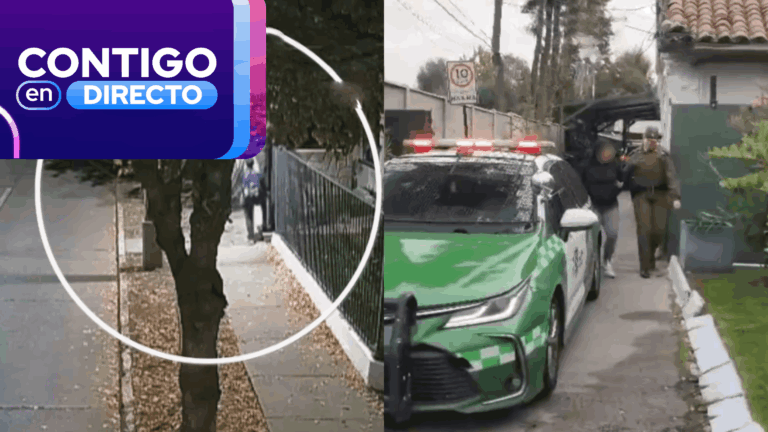 Ingeniera de 27 años usó el auto de su papá para robar casa en La Reina: Pertenecería a una banda