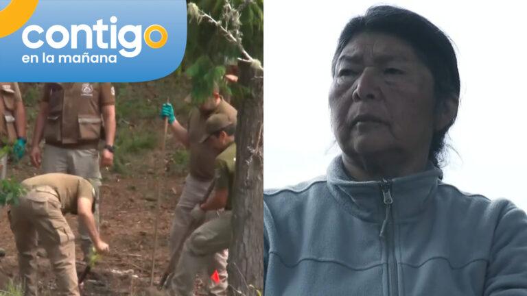 Hallazgo clave en terreno de Julia Chuñil: Fiscalía reveló descubrimiento de osamentas humanas