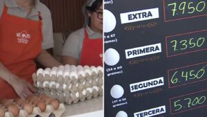 Precio del huevo subió 20% y seguirá al alza: Estas son las razones detrás del incremento