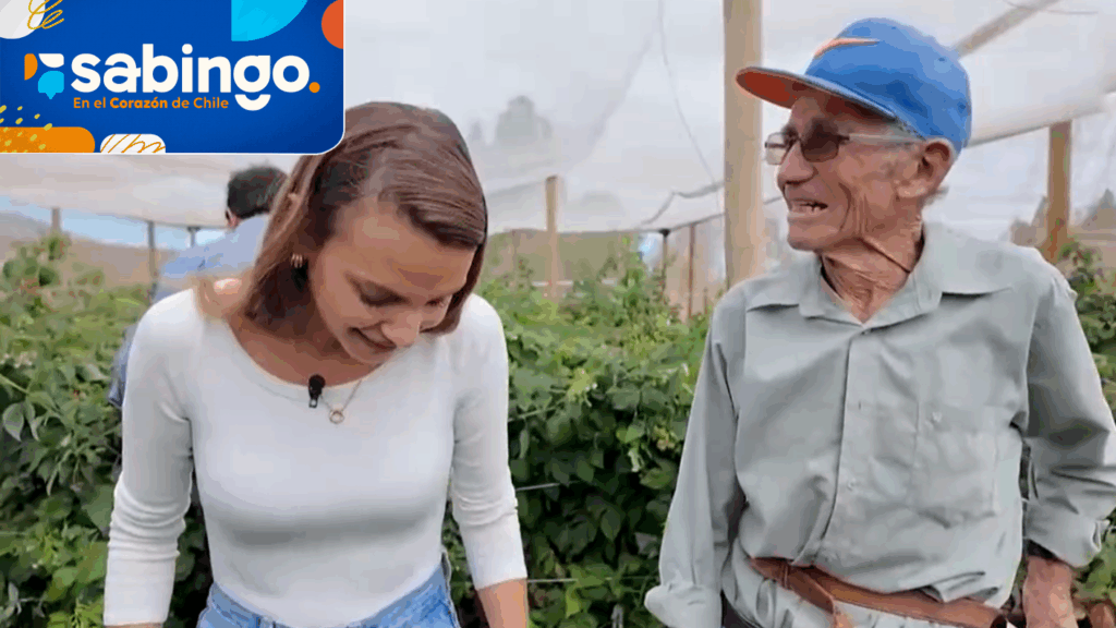 Toda la tradición y trabajo detrás del flan de quinoa | País dulcero | Sabingo