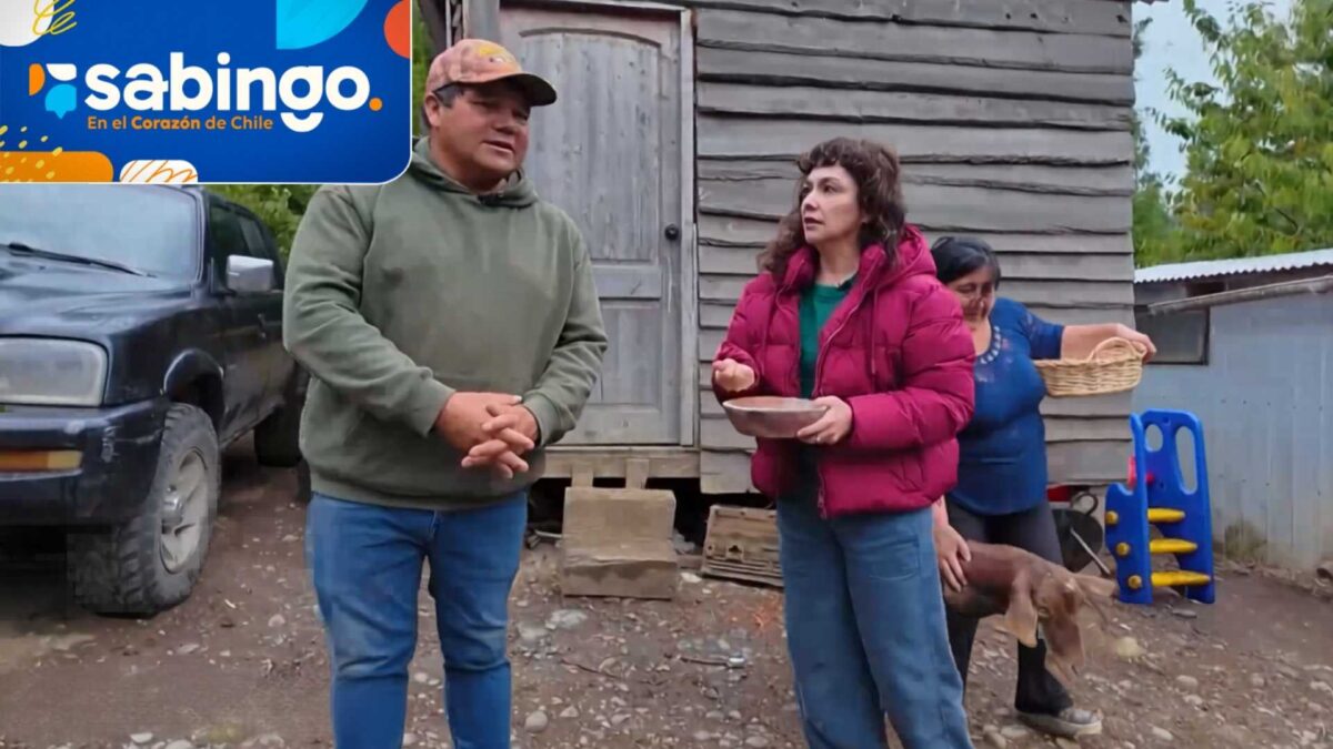 Tamara Acosta trabajó la madera nativa de Huitrapulli con Gastón Lemui | El valor de Chile | Sabingo