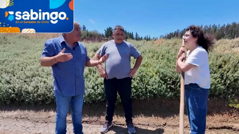 Tamara Acosta aprendió la conmovedora historia de los salineros de Barrancas | El valor de Chile | Sabingo