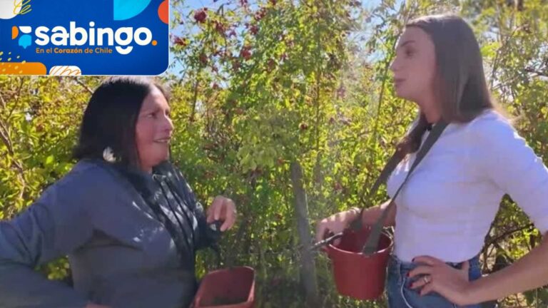 La mezcla tradicional de la tartaleta de zarzamora | País dulcero | Sabingo