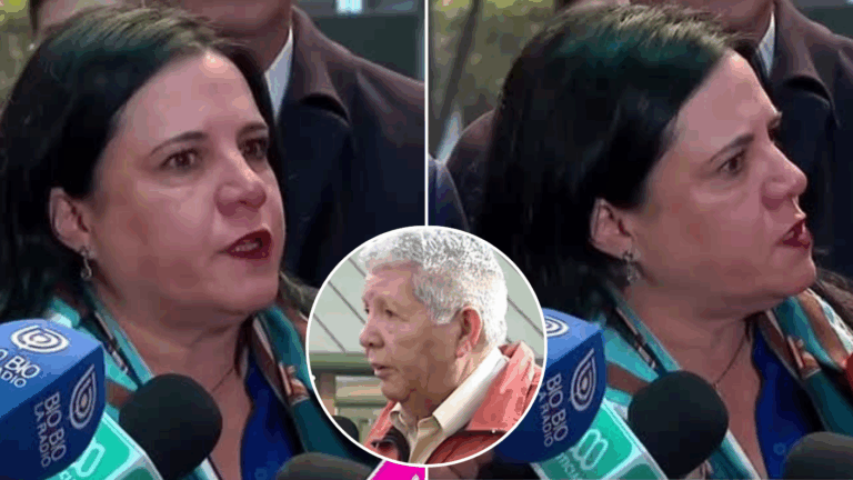 Ministra Steinert anuncia que solicitará 