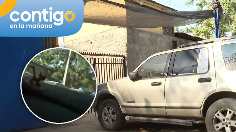 Equipo del matinal fue obligado a salir de taller donde estuvo secuestrado empresario: “Llegaron piedrazos”