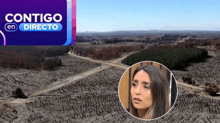 Nueve personas denuncian presunta estafa en venta de terrenos en Concepción: Monto alcanzaría los $90 millones