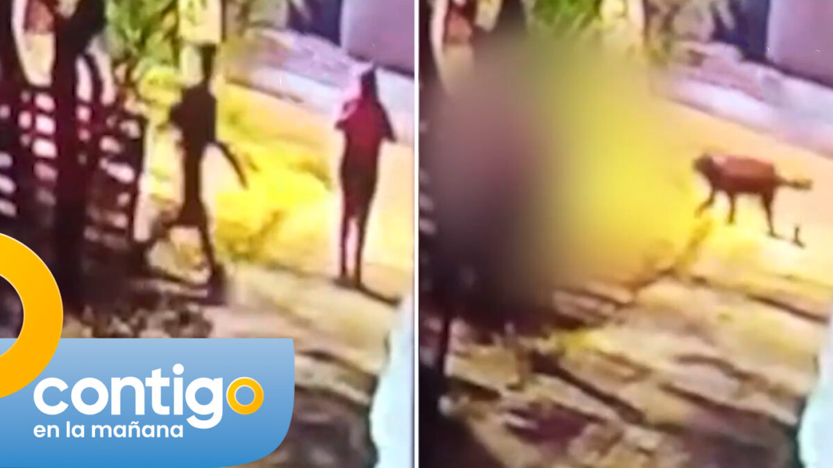 VIDEO | Registran momento exacto del ataque que sufrió mujer en Santiago: “Ella pedía ayuda”
