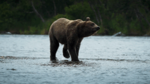 Cuándo y a qué hora se estrena “Extremos de las Américas” en Chilevisión