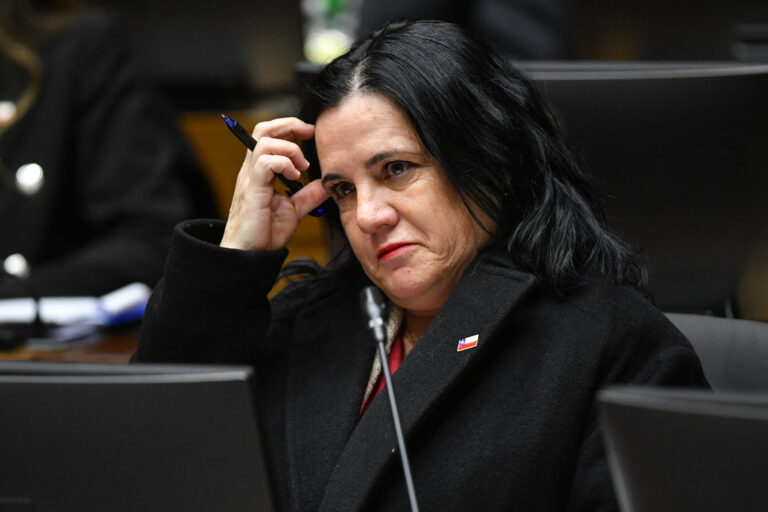 Oposición y PDG anuncian interpelación contra ministra Steinert por plan de seguridad