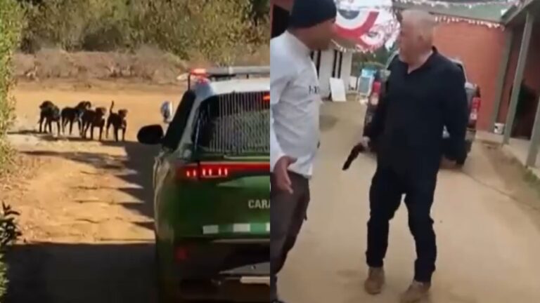 Jauría de rottweilers atacó a adulto mayor de 82 años: Dueño de los animales está en prisión acusado de amenazas y secuestro