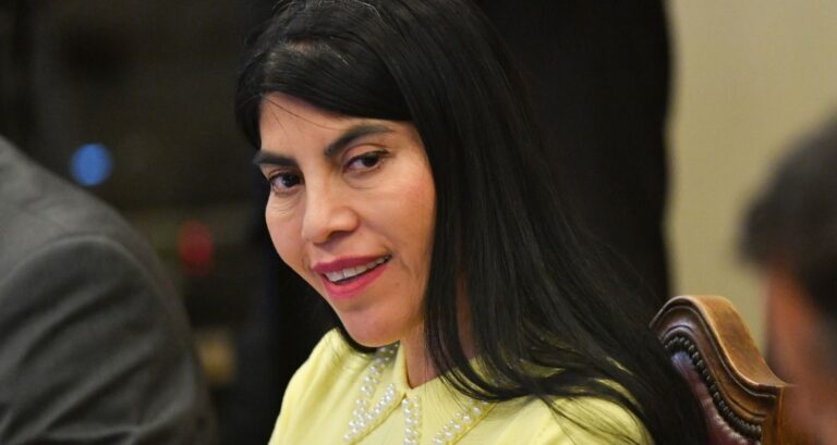 Ximena Lincolao en la mira por sociedades no declaradas: Aseguró que 
